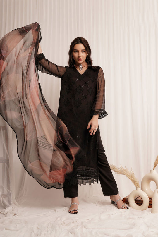 Pure Chiffon Embroidered Suit With Printed Bemberg Chiffon Dupatta Available in Black