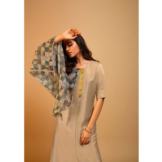 Beige Naisa Silk Kurti With Attached Digital Print Scarf